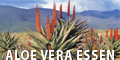 Aloe Vera essen